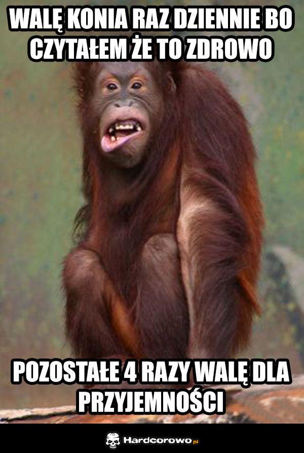 Walenie konia - 1
