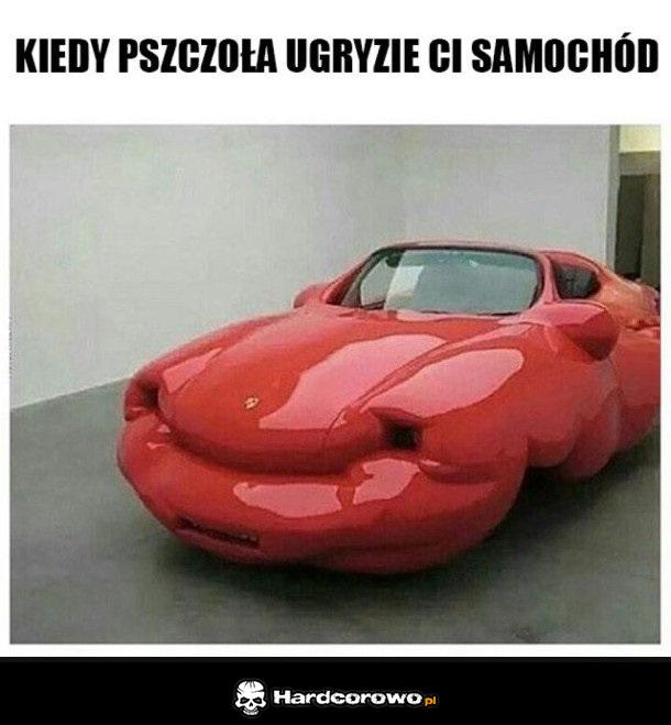 Ugryziony - 1