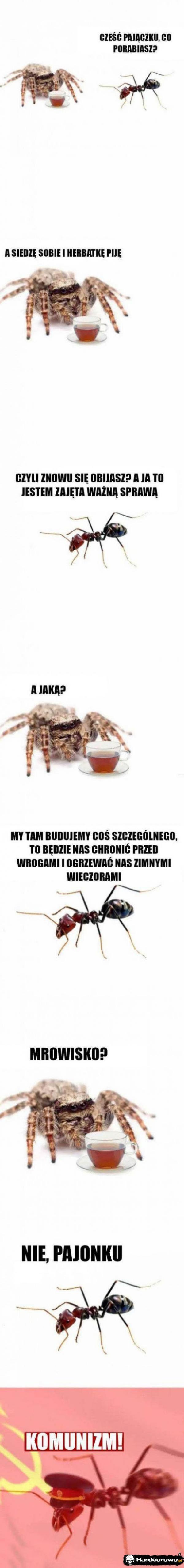  - 1