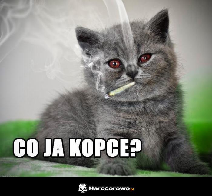 Co ja kopce? - 1