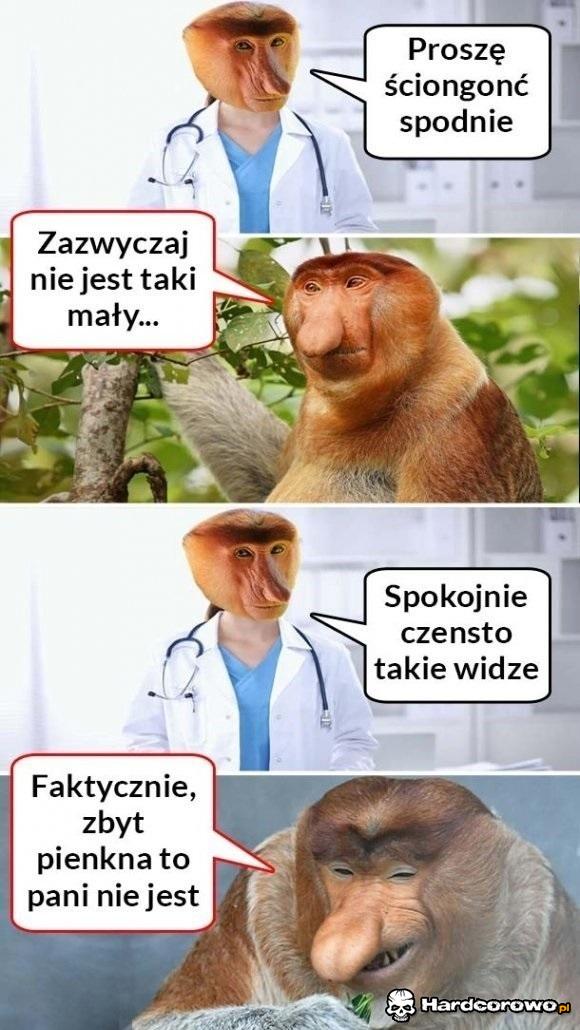 Cięta riposta Janusza - 1