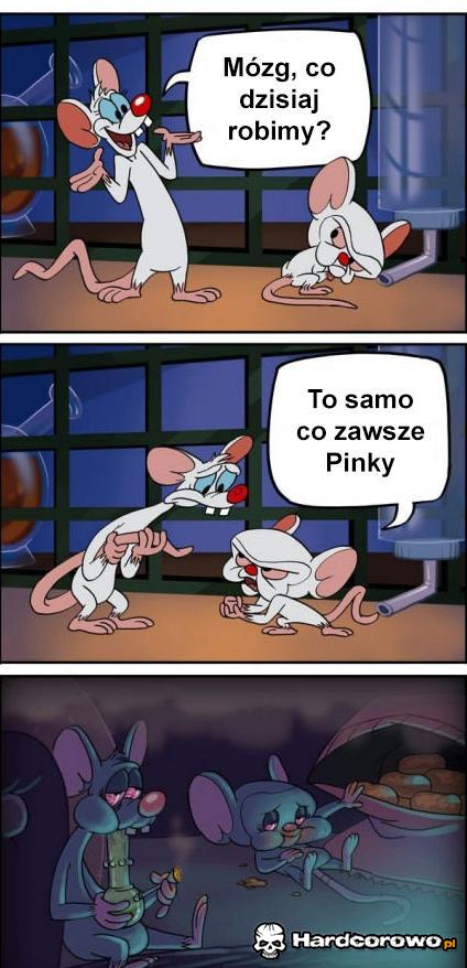 Pinki i mózg  - 1