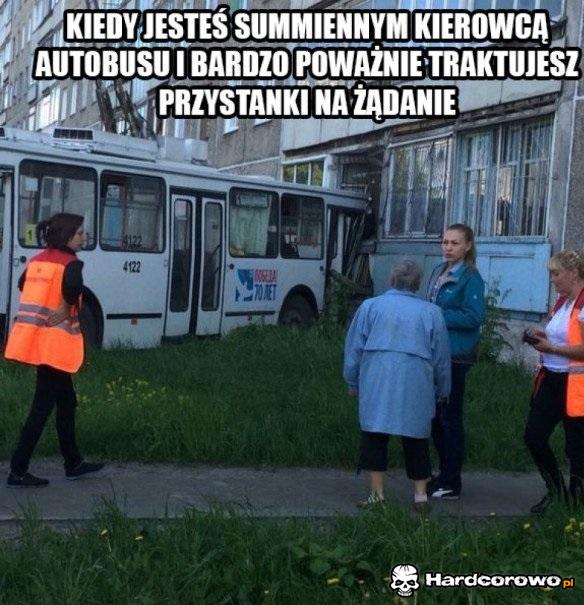 Sumienny kierowca - 1