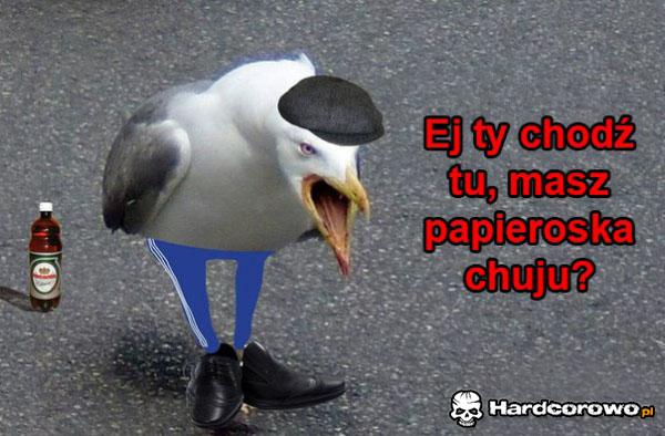 Musi to na Białorusi - 1