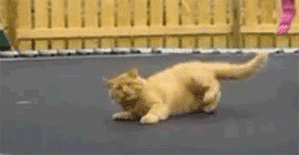 Na trampolinie - 1