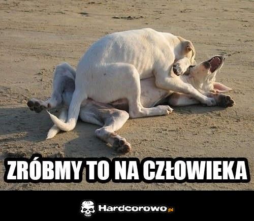 Zróbmy to na człowieka  - 1