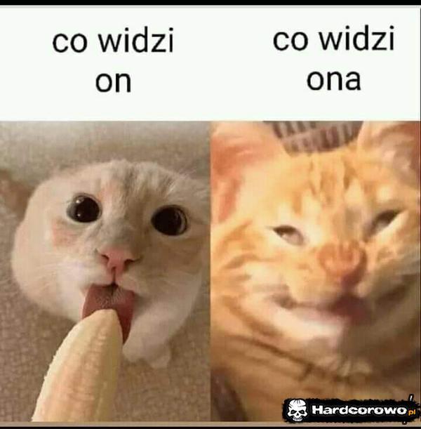  - 1