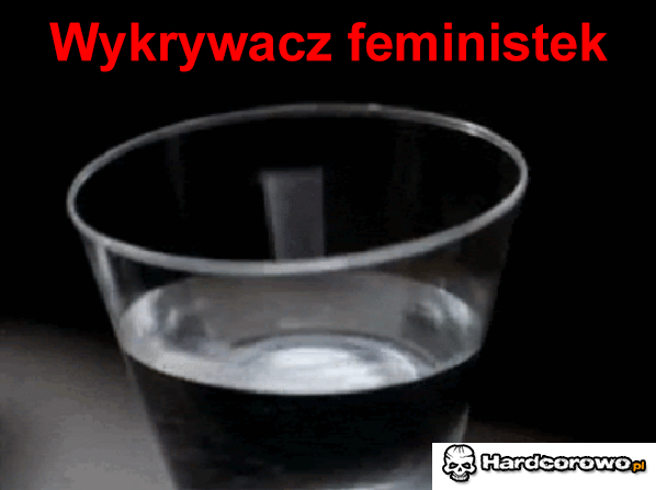 Wykrywacz feministek  - 1