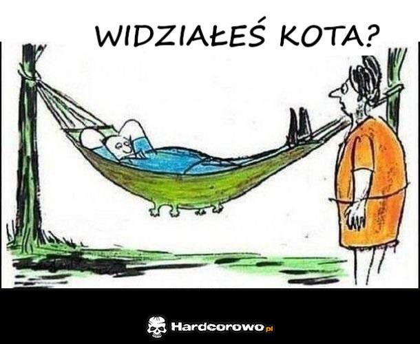 Nie moge znaleść - 1