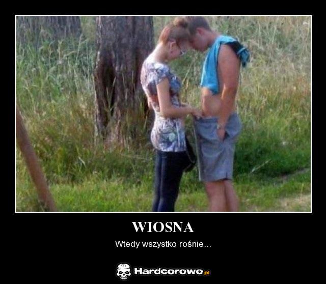 Wiosna - 1