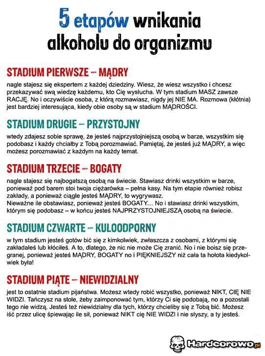 5 etapów wnikania alkoholu  - 1
