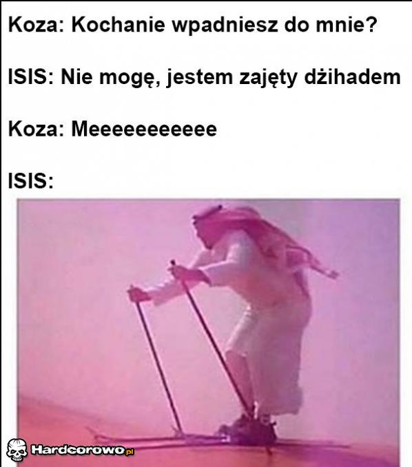 Koza & ISIS - 1