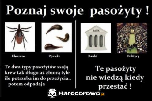 Poznaj swoje pasożyty - 1