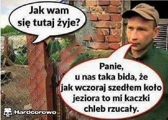 Bida z nędzą - 1