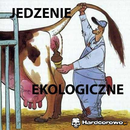Jedzenie ekologiczne  - 1