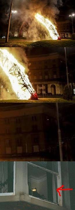 Prawdziwa przyczyna spłonięcia tęczy - 1