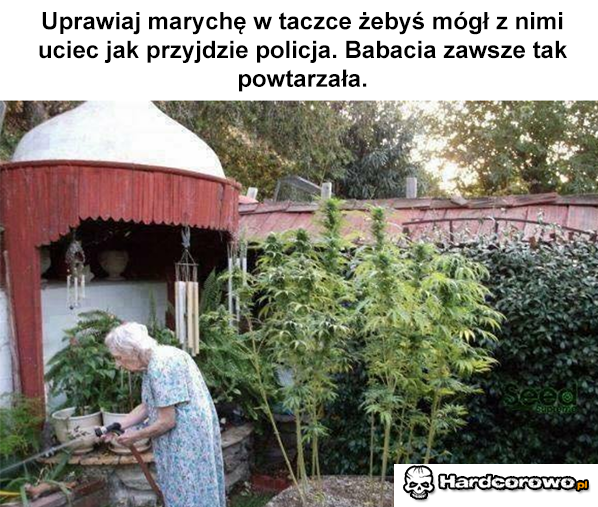 Maryśka - 1
