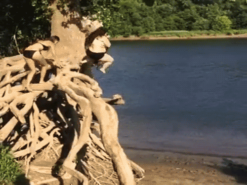 Twarde lądowanie - 1