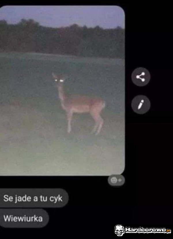  - 1
