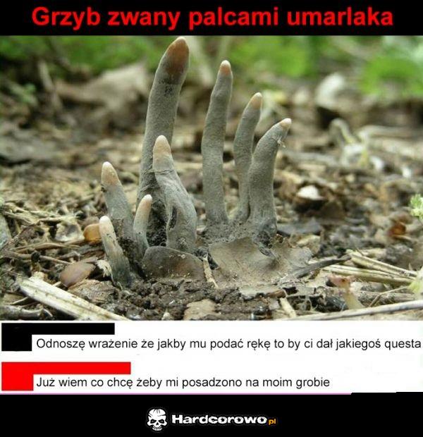Palce umarlaka - 1