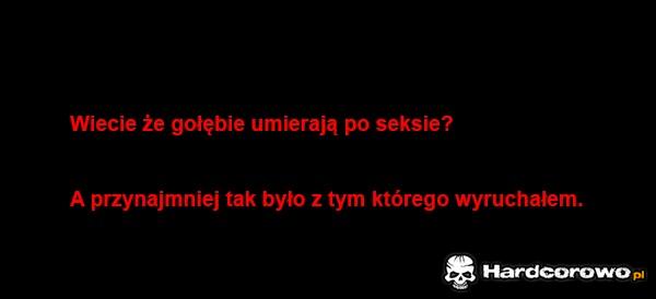 Gołąb - 1