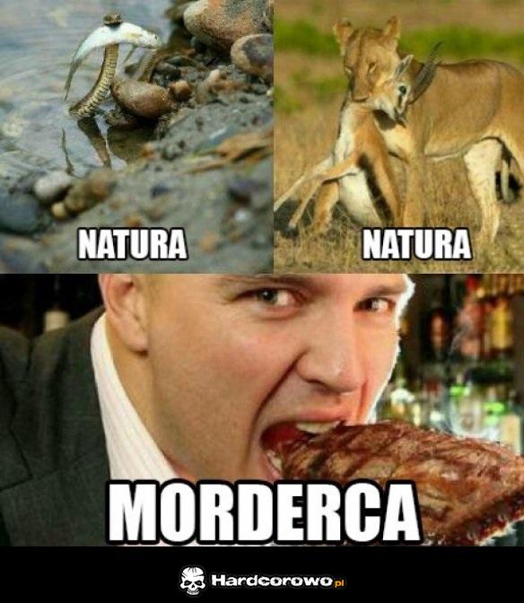 Logika wegetarian - 1