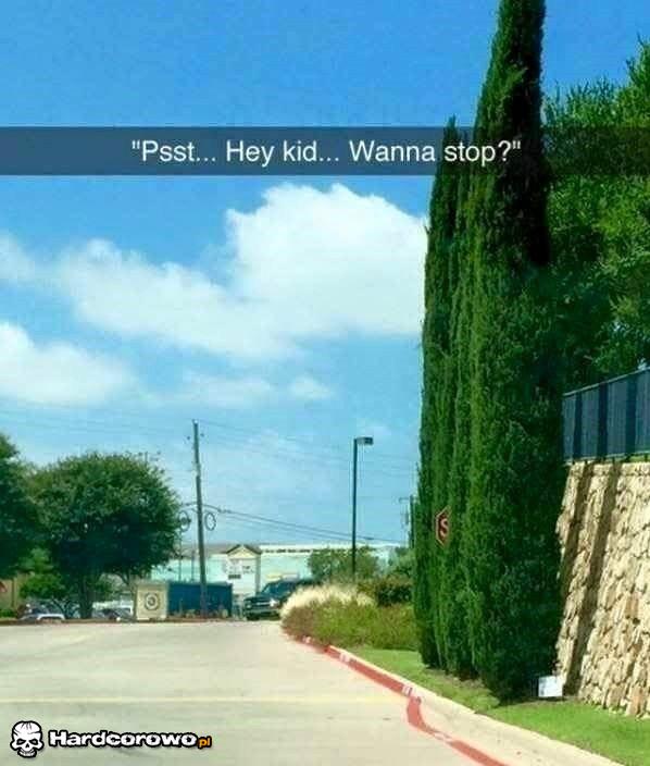 Stop - 1