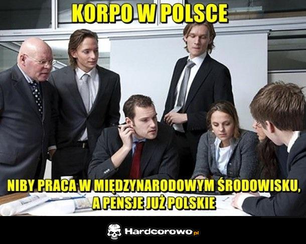 Polskie korpo - 1