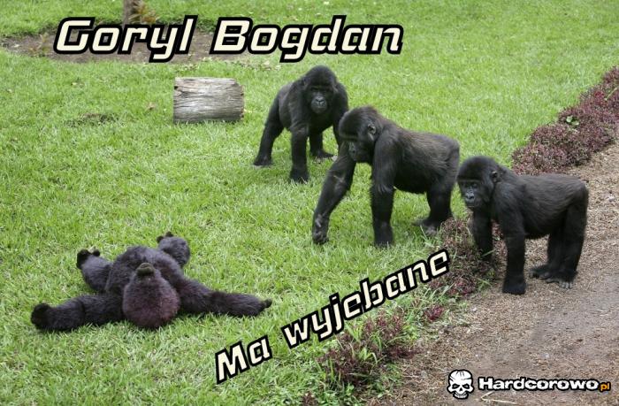 Goryl Bogdan - 1