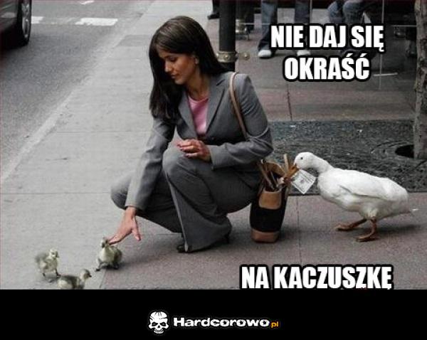 Na kaczuszkę - 1
