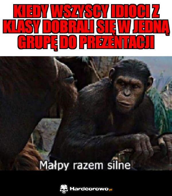 Małpy razem - 1