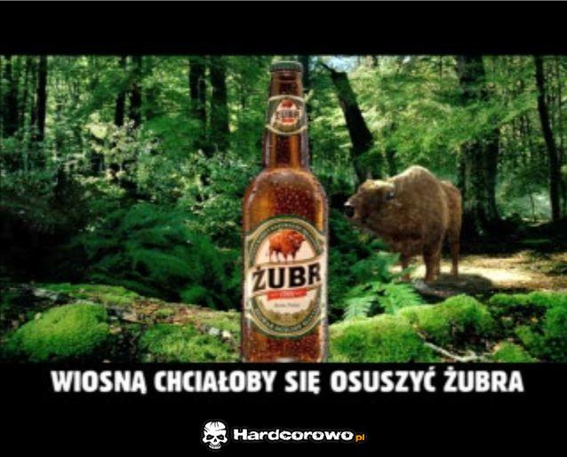 Wiosna żubra  - 1