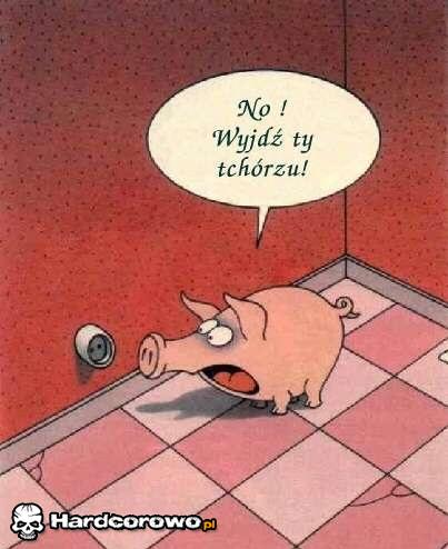 No wyjdź ty tchórzu - 1
