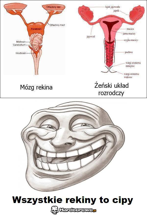 Prosty wniosek - 1