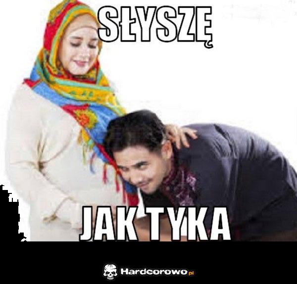 Tykanie - 1