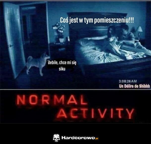Normal Activity - 1