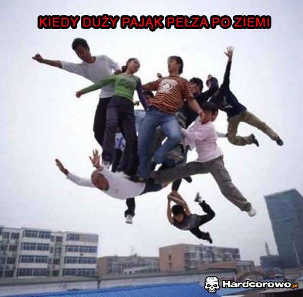 Kiedy pająk pełza po ziemi - 1