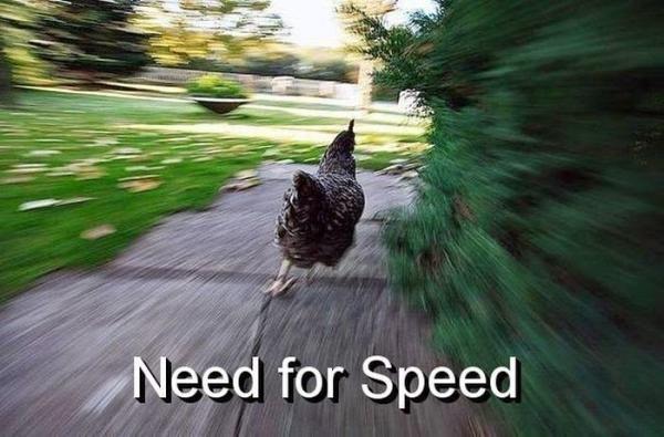 Need for Speed - 1