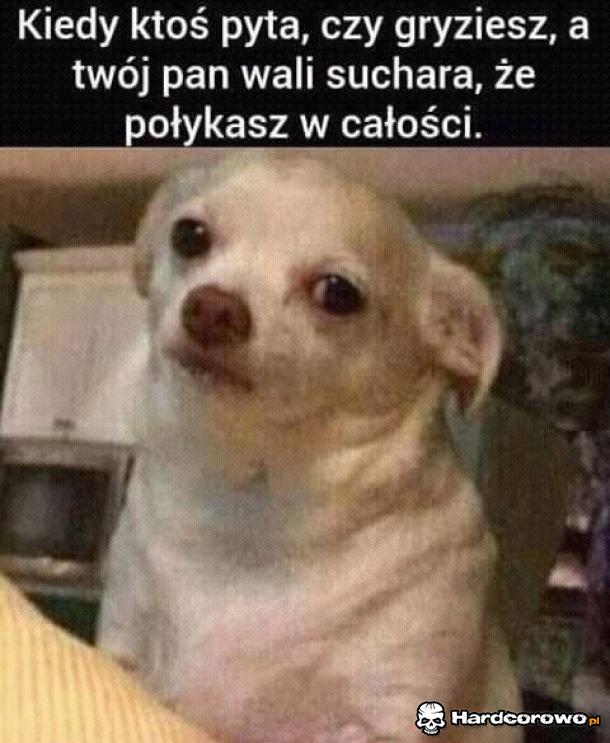 Serio? - 1