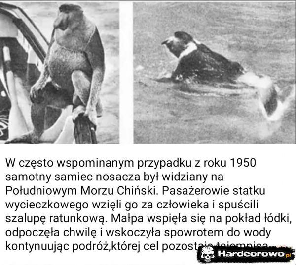  - 1