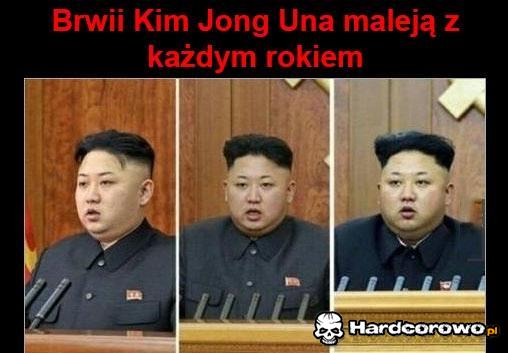 Brwi Kim Jong  - 1