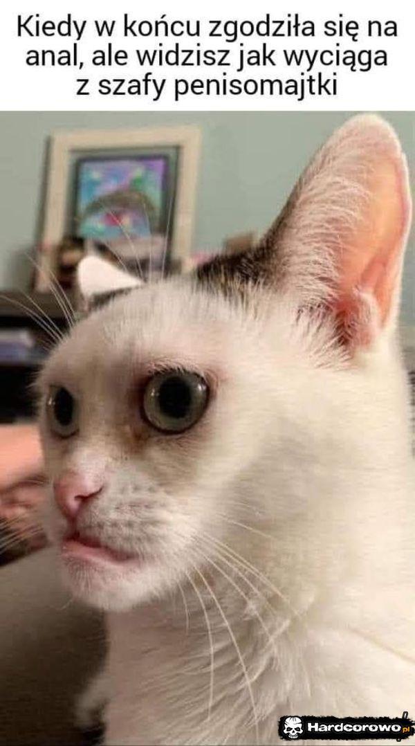  - 1