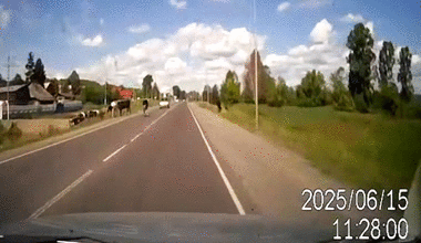 Bydlane dymanko - 1