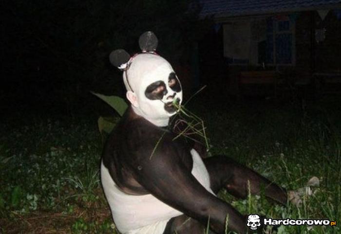 Panda przed domem - 1