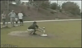 Cola + mentos - 1