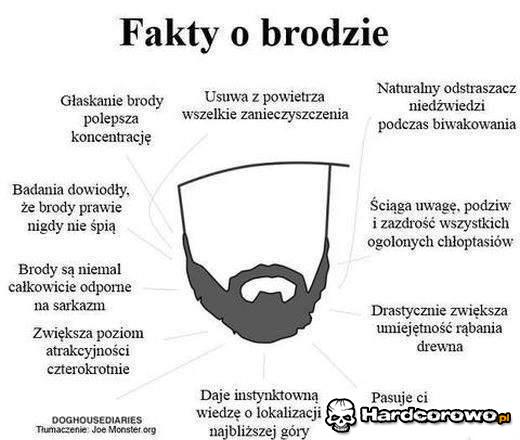 Fakty o brodzie - 1