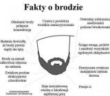 Fakty o brodzie