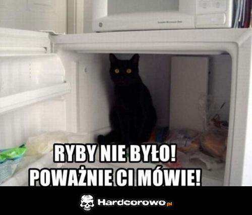 Ryby nie było - 1