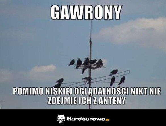 Heheszki - 1