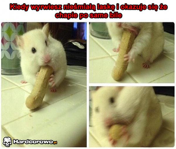 Nieśmiałe laski takie są - 1